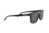 Sunglasses Emporio Armani EA 4139 (500187)