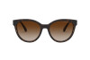 Sunglasses Emporio Armani EA 4140 (508913)