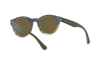 Occhiali da Sole Emporio Armani EA 4141 (979173)