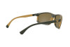 Sunglasses Emporio Armani EA 4144 (582973)