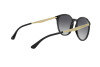 Sunglasses Emporio Armani EA 4148 (500187)