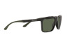 Sunglasses Emporio Armani EA 4170 (501771)