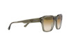 Солнцезащитные очки Emporio Armani EA 4175 (588413)