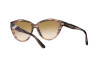 Sunglasses Emporio Armani EA 4178 (516913)