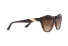Sunglasses Emporio Armani EA 4178 (587913)