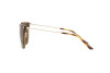 Sunglasses Emporio Armani EA 4181 (500273)