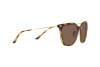 Sunglasses Emporio Armani EA 4181 (500273)