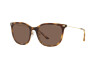 Sunglasses Emporio Armani EA 4181 (500273)