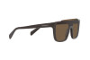 Lunettes de soleil Emporio Armani EA 4193 (519773)