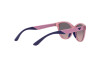 Sunglasses Emporio Armani EK 4003 (537646)