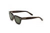 Sunglasses Tom Ford Snowdon FT0237 (52N)