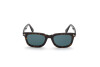 Sunglasses Tom Ford Dario FT0817 (52V)