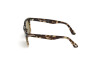 Sonnenbrille Tom Ford Dario FT0817 (56N)