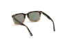 Sonnenbrille Tom Ford Dario FT0817 (56N)