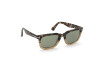 Sonnenbrille Tom Ford Dario FT0817 (56N)