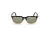 Lunettes de soleil Tom Ford Dario FT0817 (56N)