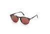 Sonnenbrille Tom Ford Aurele FT0904 (50E)