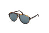 Sonnenbrille Tom Ford Jeffrey FT0932 (56V)