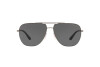 Sunglasses Giorgio Armani AR 6060 (300387)