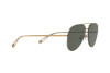 Sunglasses Giorgio Armani AR 6084 (319871)