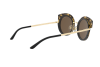 Sunglasses Giorgio Armani AR 6091 (301373)