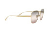 Sunglasses Giorgio Armani AR 6106 (3013K8)