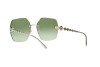 Sunglasses Giorgio Armani AR 6123B (30028E)