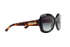 Sunglasses Giorgio Armani AR 8002 (50178G)