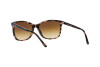 Occhiali da Sole Giorgio Armani AR 8059 (541051)