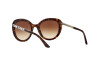 Occhiali da Sole Giorgio Armani AR 8065H (502613)