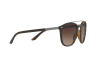 Sunglasses Giorgio Armani AR 8088 (508913)