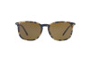 Sunglasses Giorgio Armani AR 8098 (541173)