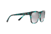 Occhiali da Sole Giorgio Armani AR 8106 (56556V)