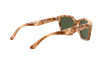 Sunglasses Giorgio Armani AR 8134 (584671)