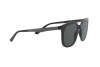 Sunglasses Giorgio Armani AR 8136 (585787)