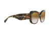 Sonnenbrille Giorgio Armani AR 8150 (59046E)