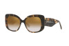 Sonnenbrille Giorgio Armani AR 8150 (59046E)