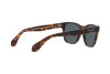 Lunettes de soleil Giorgio Armani AR 8155 (5879R5)