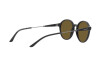 Lunettes de soleil Giorgio Armani AR 8160 (500173)