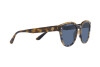 Sunglasses Giorgio Armani AR 8164 (541180)