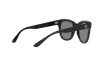 Occhiali da Sole Giorgio Armani AR 8165 (500111)