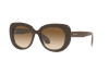 Солнцезащитные очки Giorgio Armani AR 8168 (595751)