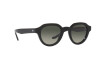 Occhiali da Sole Giorgio Armani AR 8172U (587571)