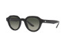 Occhiali da Sole Giorgio Armani AR 8172U (587571)