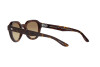 Sunglasses Giorgio Armani AR 8172U (5879Q4)