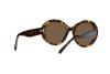 Sunglasses Giorgio Armani AR 8174 (502673)