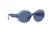 Sunglasses Giorgio Armani AR 8174 (595380)