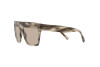 Sunglasses Giorgio Armani AR 8177 (5922/3)