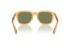 Sunglasses Giorgio Armani AR 8206 (60632A)