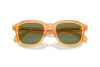 Sunglasses Giorgio Armani AR 8206 (60632A)